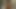 Schlanke gloryhole mit goldener haut, twink-schlampe