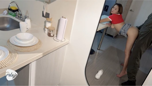 The maid secretly desired her boss, an airplane pilot his wife was away, and she wanted to get pregnant by him