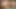 Kısa saçlı esmer hottie onu kedi yayılır ve kamera için parmaklar