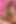 Muhteşem kızlar pembe bir odada dildo seansı yapıyor