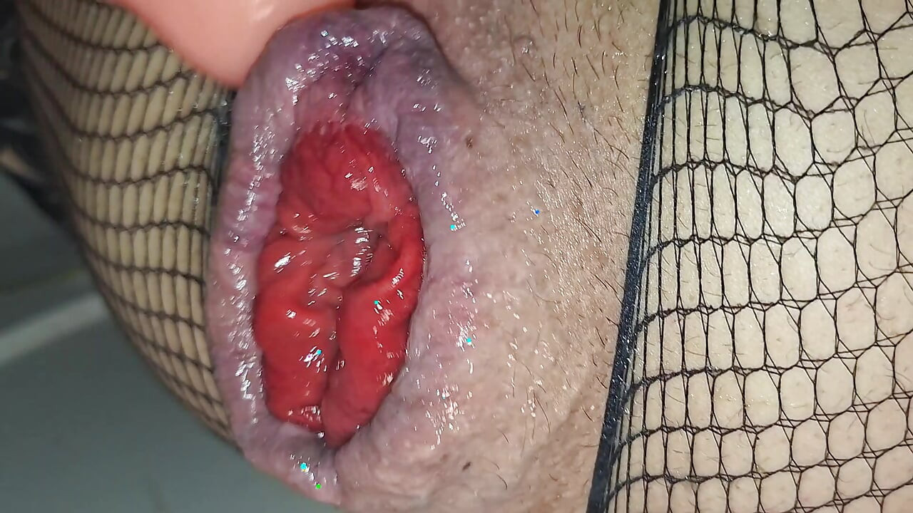 GME789 ANAALIDILDO