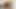Oma mit grossen Nippel und behaarter Pussy bekommt endlich dicken Schwanz