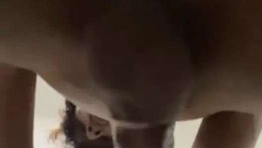 Big black cock malaysian fucking the pussy toy so hard while using cap