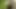 I Was Very Excited Alone in the Forest Ich War Ganz Aufgeregt Alleine Im Wald
