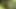 I was fucked by an unknown sex maniac in the woods!