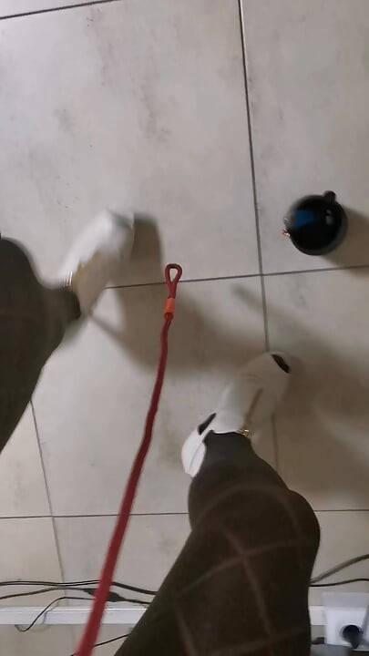 Sexy Unacerdaamaricona with dog mask