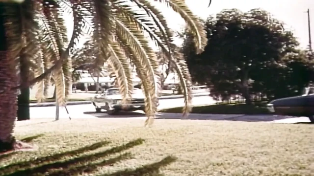 Full Porn Film 67
