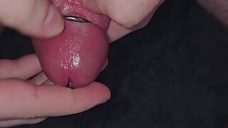 J’ai mis différents plugs de pénis / sperme dans ma bite