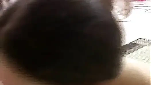 Takım büyük memeli: maka: sakso #4