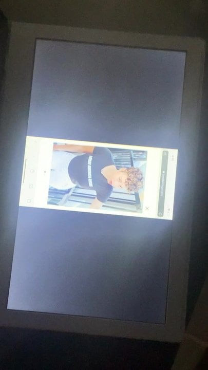 Daphnique Springs Cum Tribute