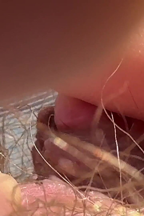 Amateur Hairy Girl Mastubates in Closeup with Huge Clit
