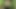 andkvcat – cute boy peeing in the forest