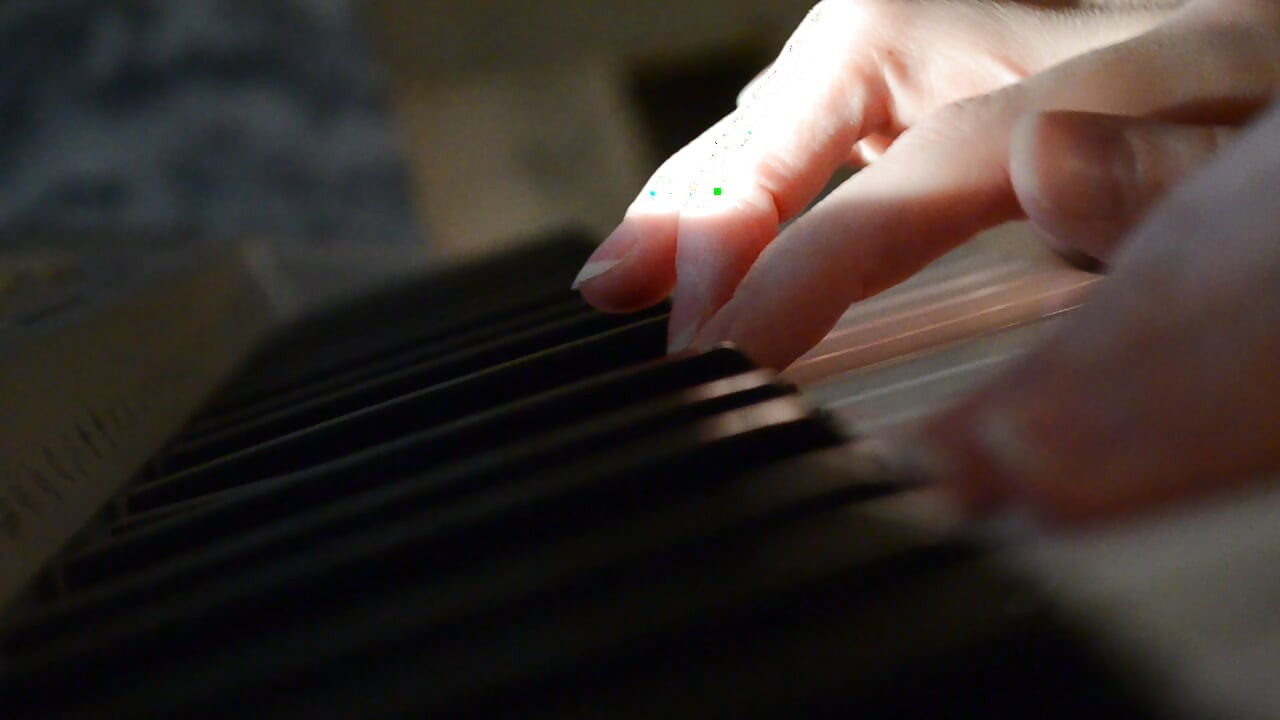 CatFerae video