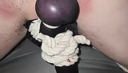 Gadis penurut ini muasin memeknya pakai stoking nilon, beberapa tali, dan ballbusting