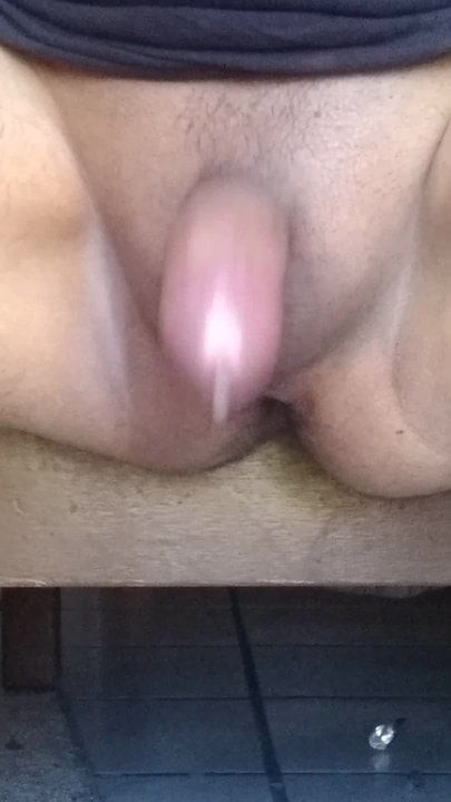 mr dick4
