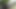 Tranny masturbating in the woods