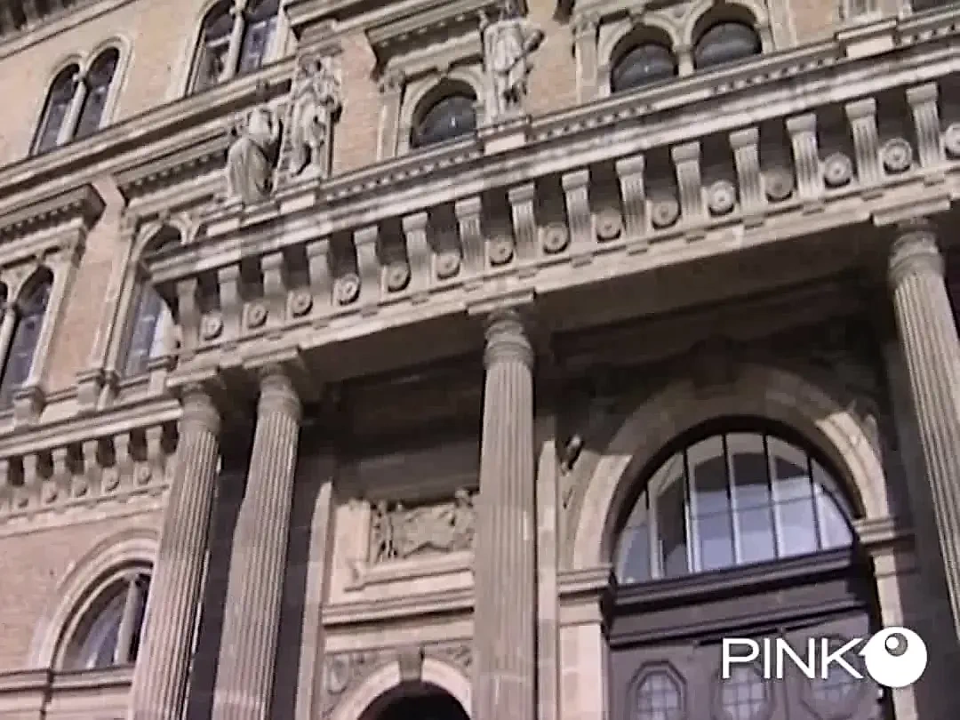 一个荡妇接受两根鸡巴