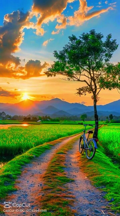 क्या तुम्हें मेरा वीडियो पसंद है कृपया सदस्यता लें