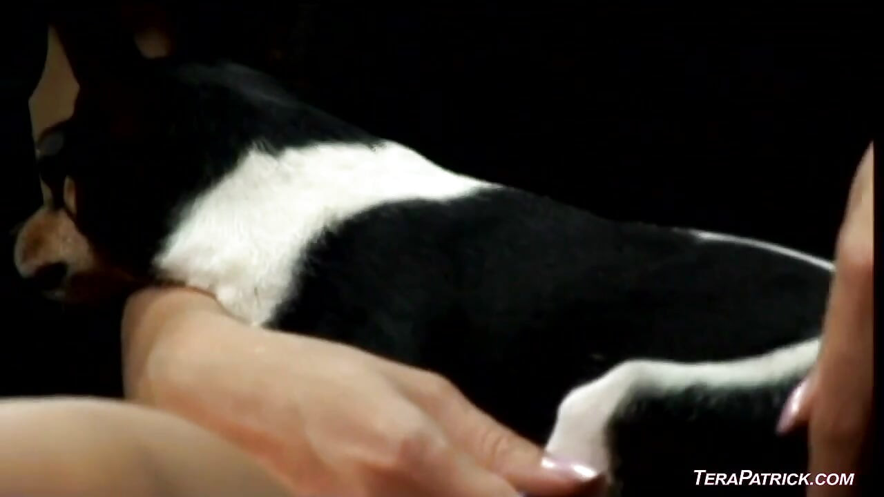 火辣亞洲人露西·李與雙插一起在所有洞中都受到猛烈