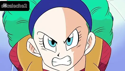 Vegeta bulma in der cacsula-corporation