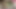 Stepsister Fucked In home when alone first time by her stepbrother Cute desi girl Fuck her tight pussy sex video