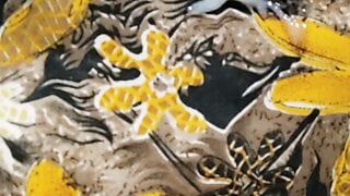Pik hoofd wrijven met gele print satijn zijdeachtige salwar van zus (56)