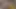 Hintli seksi gelin ateşli vücuduyla oynuyor