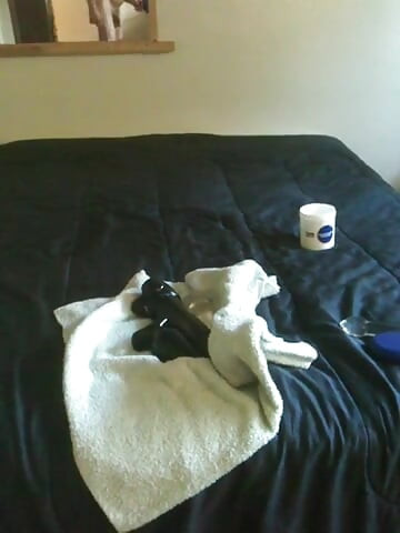 Tselize retro rerun - pre op # 27