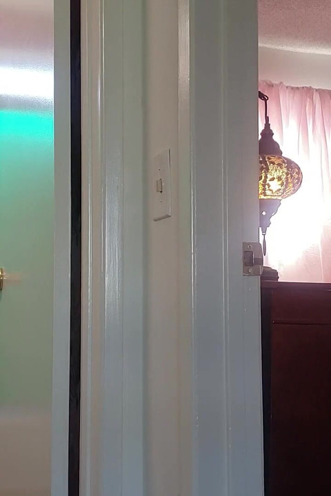 Volume 3 - the TS Shower Fuck