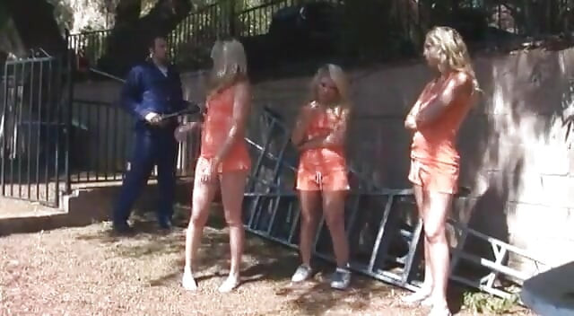 ブロンドの十代の肛門罰。