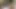 AFRICAN COUPLE HOMEMADE FUCK SHOWING ON CAMERA