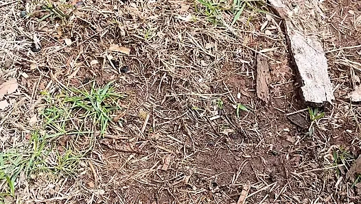 выходить на улицу, затем писающая киска показывается