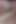 Hatunlar - önde gelen lezbiyen yıldızcıklar. Dani Daniels ve Jessi June