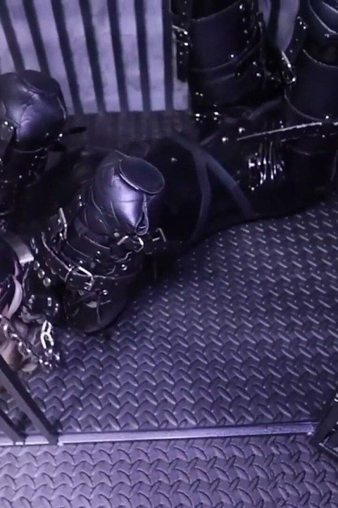 The Puppy Girlfriend Kept in a Cage Is on Her First Day