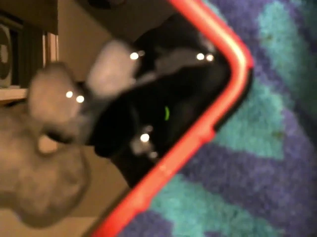 Tribute cumshot for pawg fwb