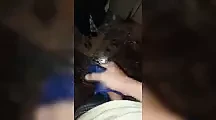 Ngocok bh Kakak авто-крот
