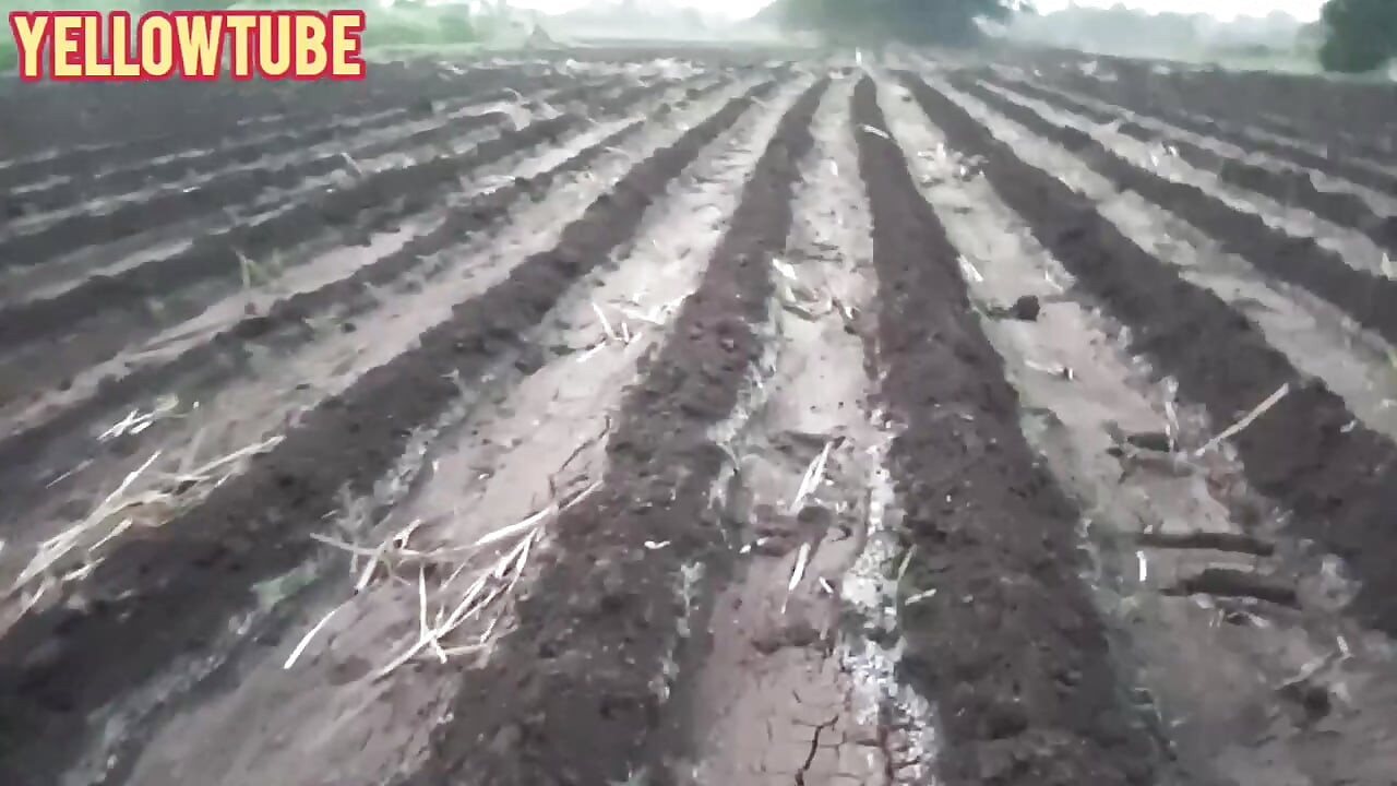 인도 야외 아름다운 야외 재미와 무스티 카마 수트라