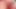 Olgun orta yaşlı seksi kadın ve eş değiştiren evli kadın küçük bir yarağı paylaşıyor