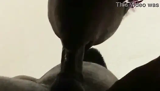 Nahaufnahme halsfick