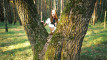 Pratinjau video