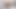 Ateşli candee licious ile sert tabanları kullanarak ıslak amcığı okşuyor