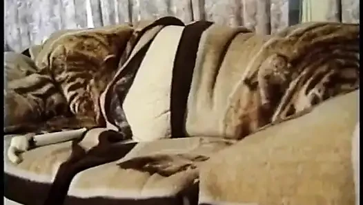 Klasik büyük memeli sarışın büyük yarak emiyor