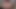 Latina casting tranny blowing cock pov