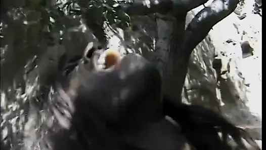 Hot black chick get white cock to rock her ass