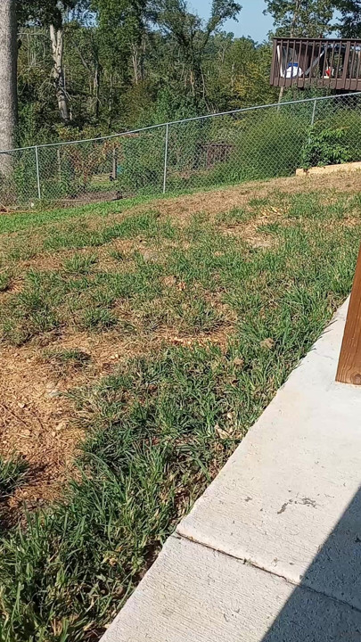 Havuzdan çıkıp hızlı bir şekilde işemek zorunda kaldı