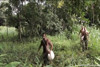 Pratinjau video