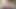 Solo Camping mit Dildos allein im Wald