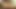 Homemade Porn sister Likes Blowjob