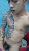 Pregled videozapisa