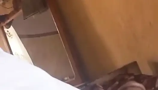 Sudanes cock